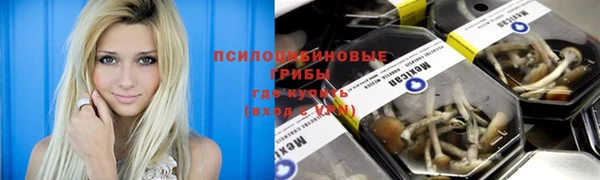 скорость Вязьма